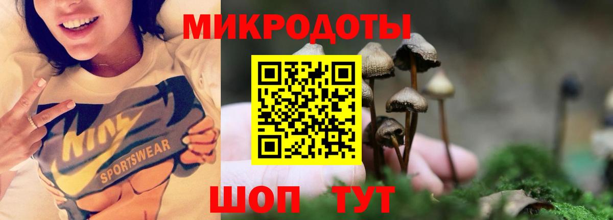 Магадан  Псилоцибиновые грибы Magic Shrooms  Вход с VPN 